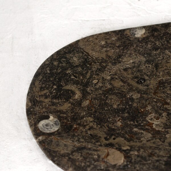 Fossil Platter